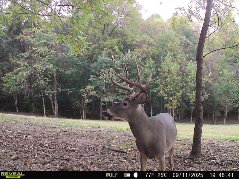 33819 Wolf Hill Road , Unit (Tract 4 W, McArthur, OH 45651 Photo 11