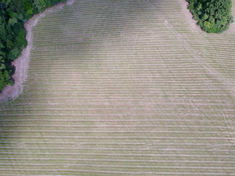 33819 Wolf Hill Road , Unit (Tract 4 W, McArthur, OH 45651 Photo 13