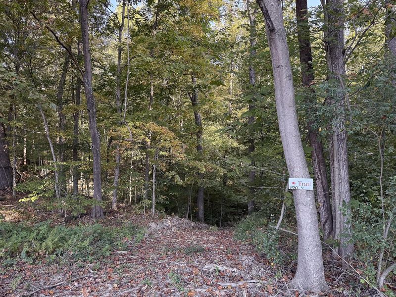 33819 Wolf Hill Road , Unit (Tract 4 W, McArthur, OH 45651 Photo 14