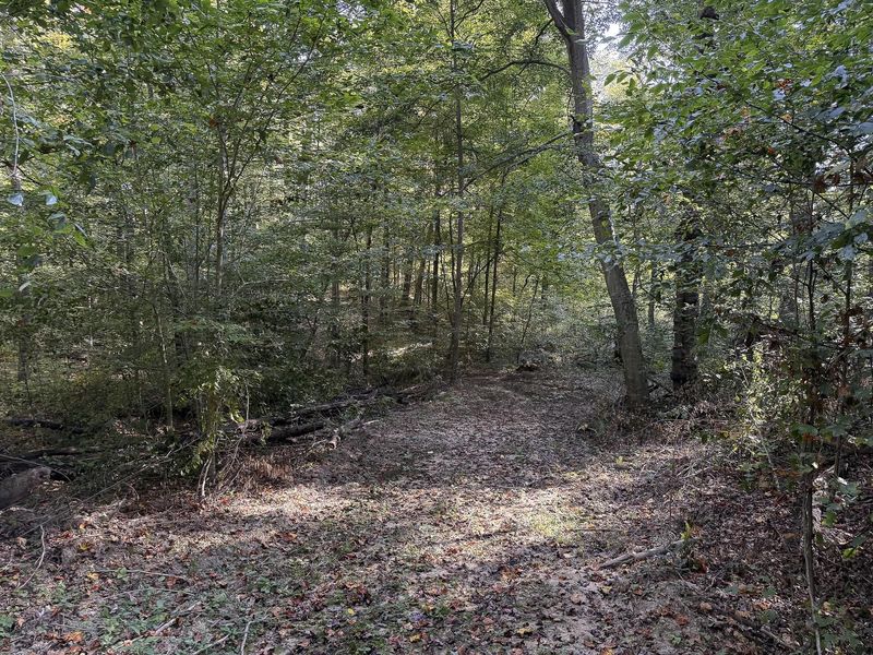 33819 Wolf Hill Road , Unit (Tract 4 W, McArthur, OH 45651 Photo 15