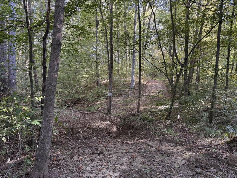 33819 Wolf Hill Road , Unit (Tract 4 W, McArthur, OH 45651 Photo 16