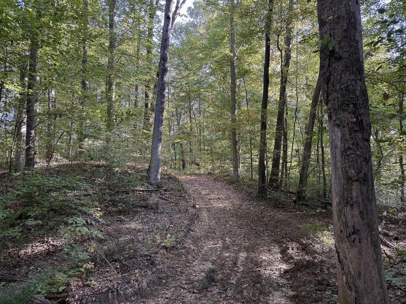 33819 Wolf Hill Road , Unit (Tract 4 W, McArthur, OH 45651 Photo 17