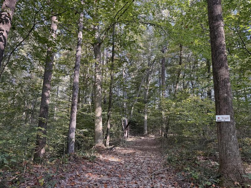 33819 Wolf Hill Road , Unit (Tract 4 W, McArthur, OH 45651 Photo 18