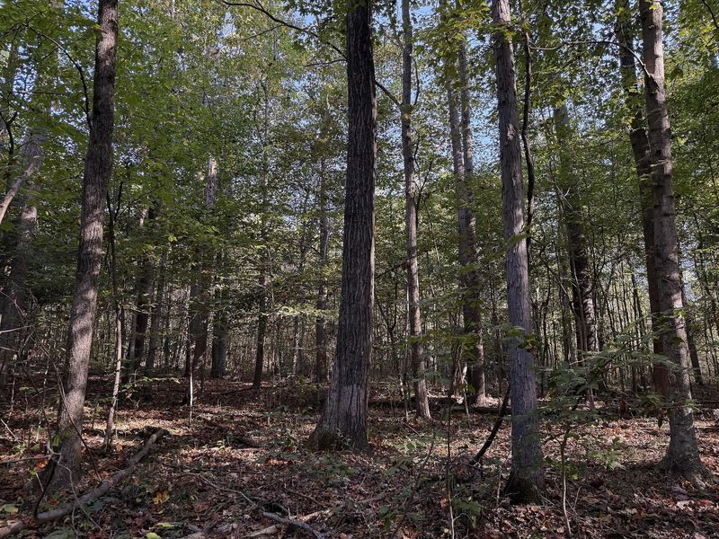 33819 Wolf Hill Road , Unit (Tract 4 W, McArthur, OH 45651 Photo 20