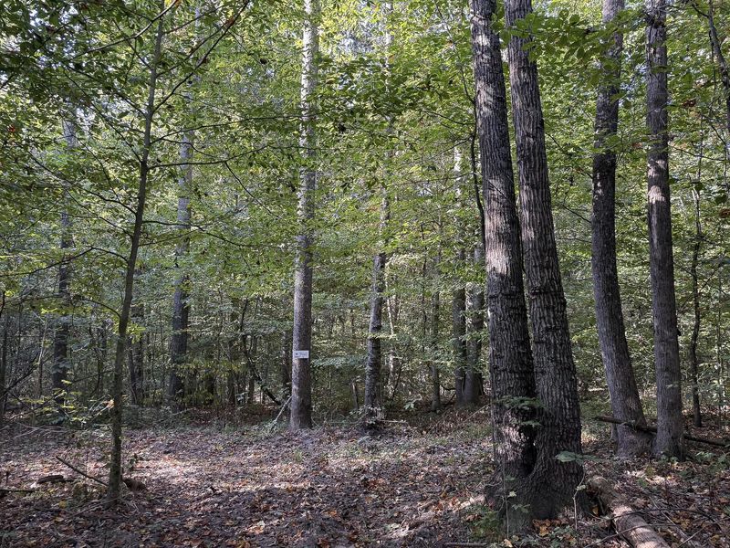 33819 Wolf Hill Road , Unit (Tract 4 W, McArthur, OH 45651 Photo 21