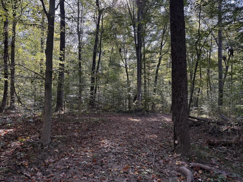 33819 Wolf Hill Road , Unit (Tract 4 W, McArthur, OH 45651 Photo 22