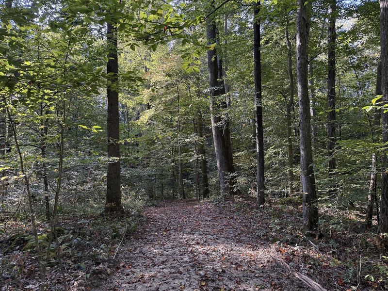 33819 Wolf Hill Road , Unit (Tract 4 W, McArthur, OH 45651 Photo 23