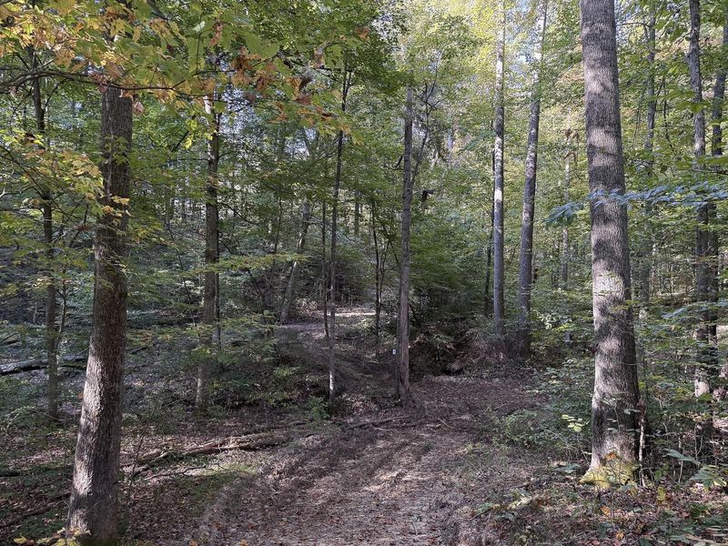 33819 Wolf Hill Road , Unit (Tract 4 W, McArthur, OH 45651 Photo 24