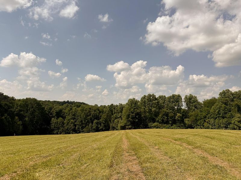 33819 Wolf Hill Road , Unit (Tract 4 W, McArthur, OH 45651 Photo 33