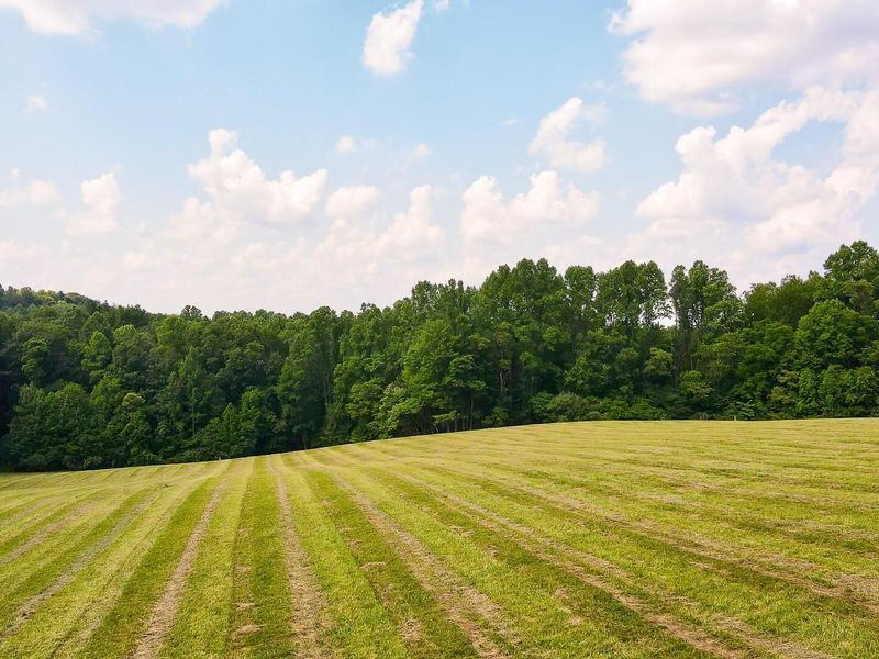 33819 Wolf Hill Road , Unit (Tract 4 W, McArthur, OH 45651 Photo 36