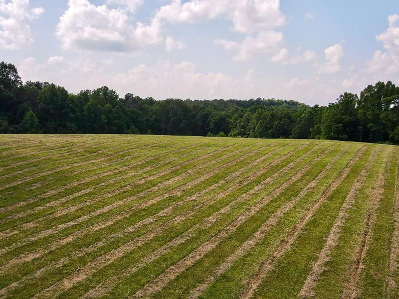 33819 Wolf Hill Road , Unit (Tract 4 W, McArthur, OH 45651 Photo 37