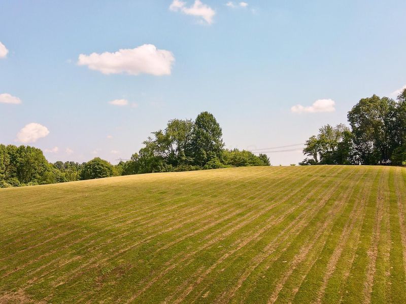 33819 Wolf Hill Road , Unit (Tract 4 W, McArthur, OH 45651 Photo 38