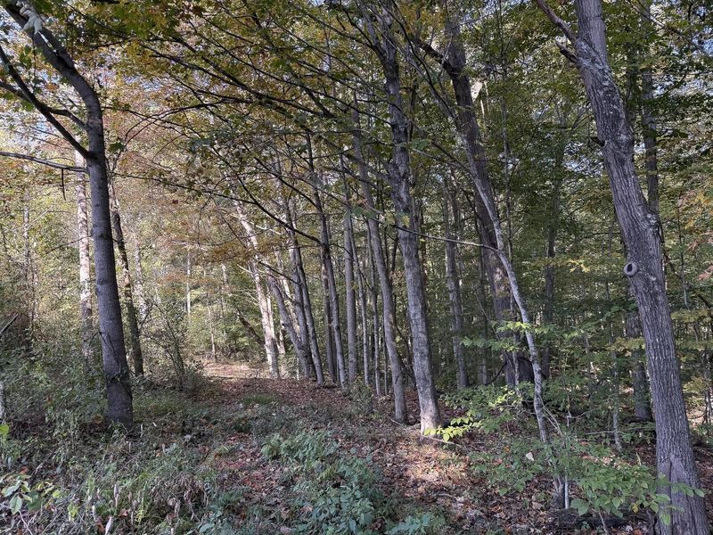 33819 Wolf Hill Road , Unit (Tract 4 W, McArthur, OH 45651 Photo 41