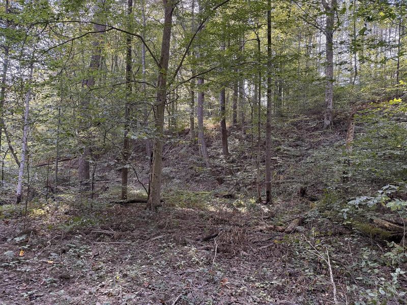 33819 Wolf Hill Road , Unit (Tract 4 W, McArthur, OH 45651 Photo 42