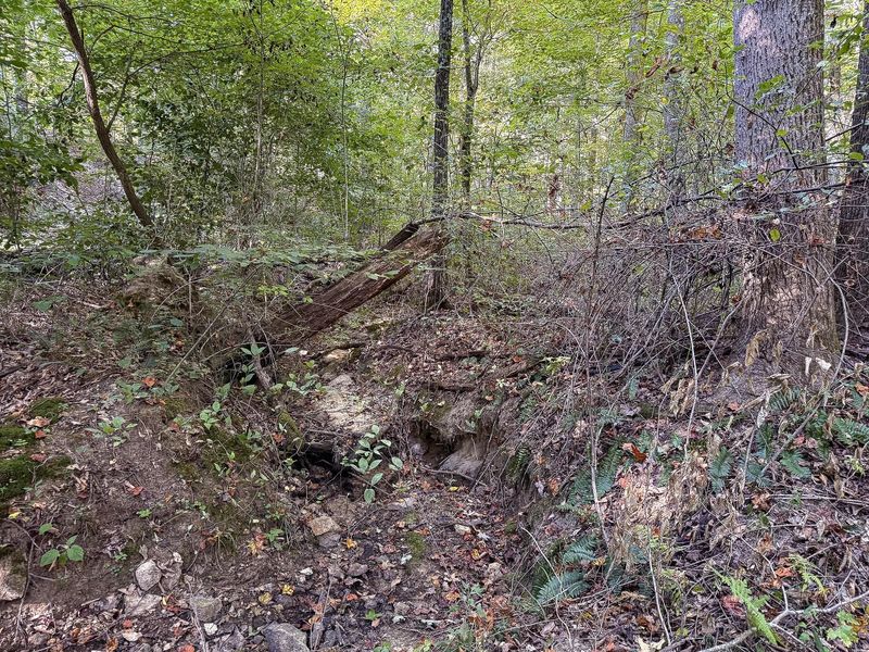 33819 Wolf Hill Road , Unit (Tract 4 W, McArthur, OH 45651 Photo 43