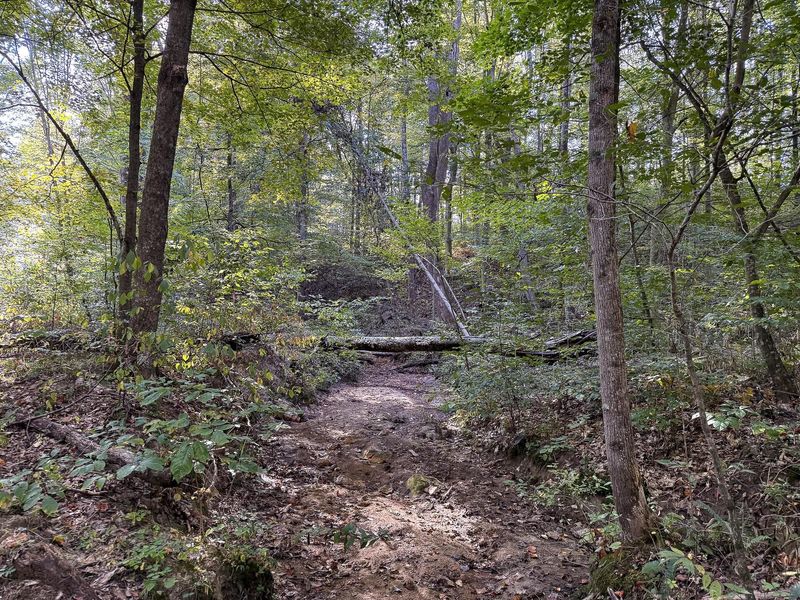 33819 Wolf Hill Road , Unit (Tract 4 W, McArthur, OH 45651 Photo 44