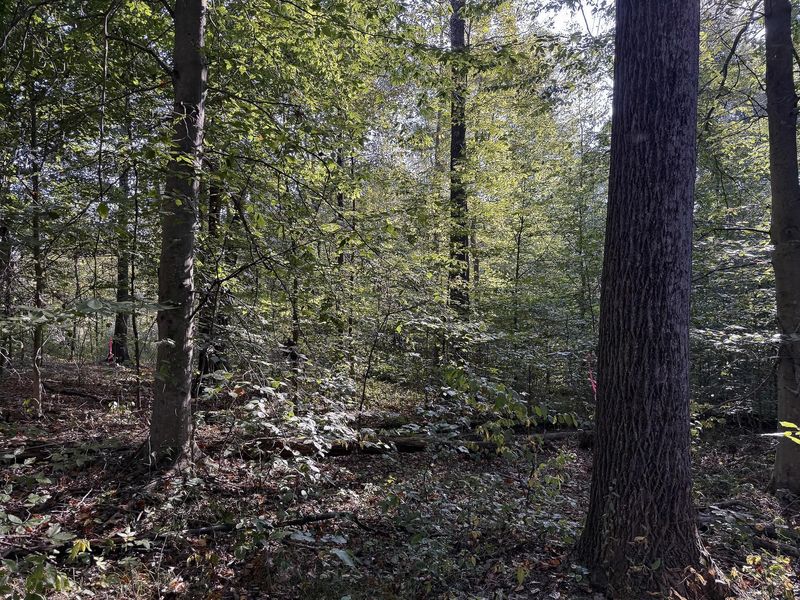 33819 Wolf Hill Road , Unit (Tract 4 W, McArthur, OH 45651 Photo 46