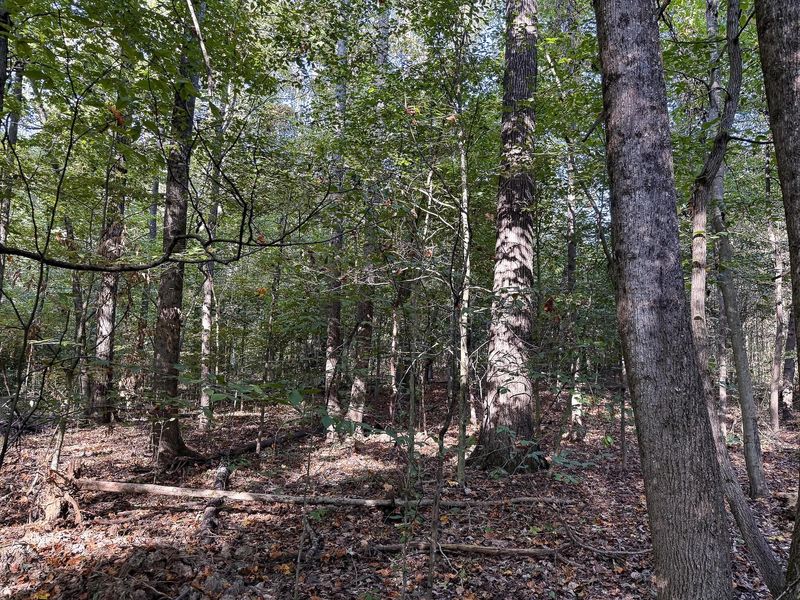 33819 Wolf Hill Road , Unit (Tract 4 W, McArthur, OH 45651 Photo 47