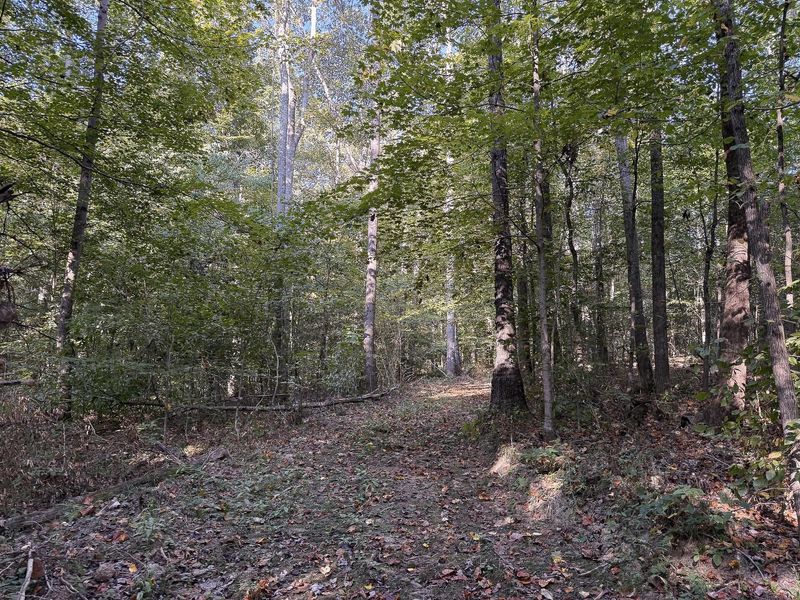 33819 Wolf Hill Road , Unit (Tract 4 W, McArthur, OH 45651 Photo 48