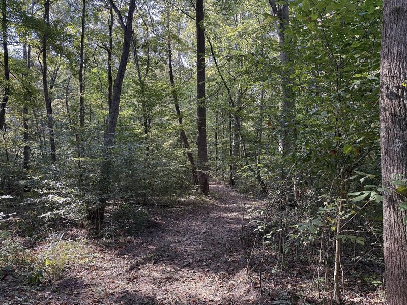 33819 Wolf Hill Road , Unit (Tract 4 W, McArthur, OH 45651 Photo 49