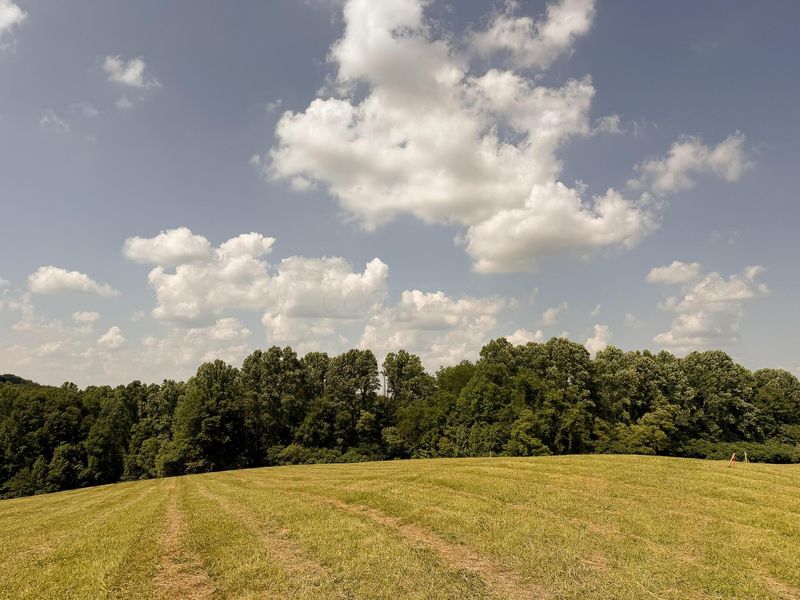 33819 Wolf Hill Road , Unit (Tract 4 W, McArthur, OH 45651 Photo 50