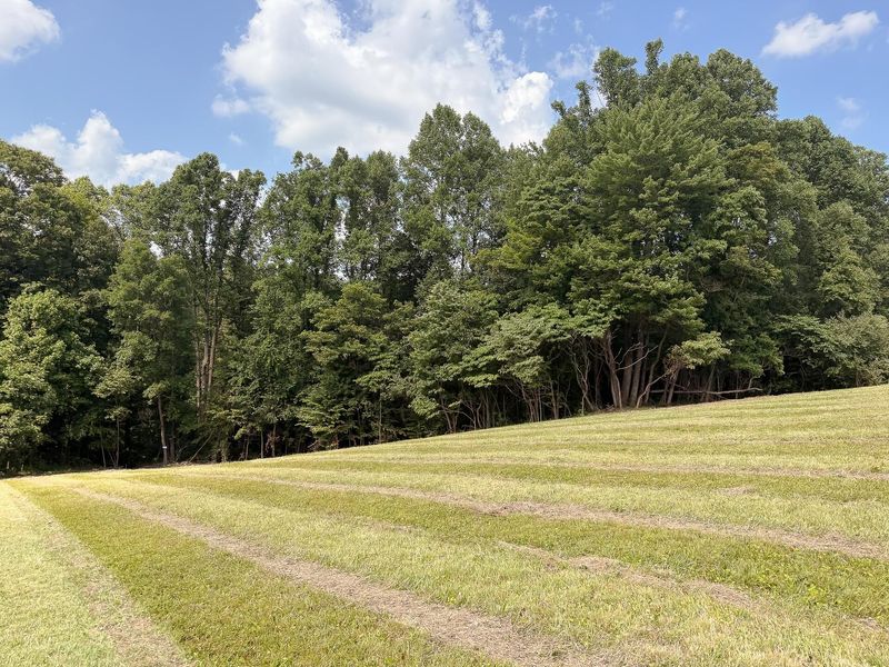 33819 Wolf Hill Road , Unit (Tract 4 W, McArthur, OH 45651 Photo 56