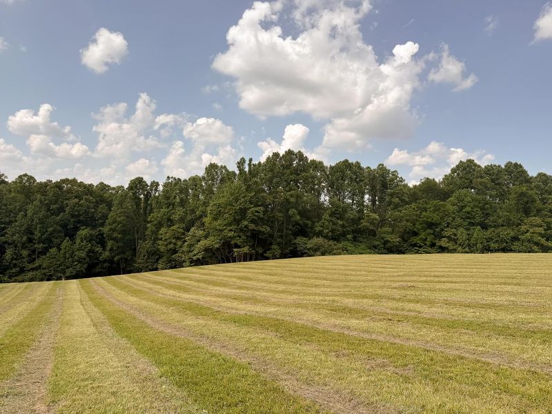 33819 Wolf Hill Road , Unit (Tract 4 W, McArthur, OH 45651 Photo 8