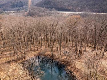 TBD Coopers Rock Drive, Bruceton Mills, WV 26525