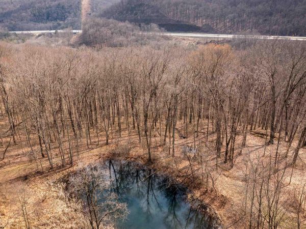 TBD Coopers Rock Drive, Bruceton Mills, WV 26525