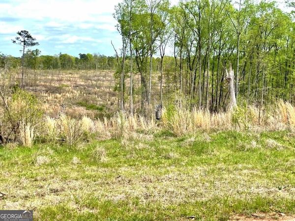 0 Fullerton-Phillips Road, Hillsboro, GA 31038