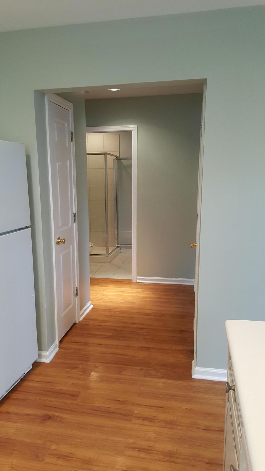 1628 Baltusrol Lane Photo 11