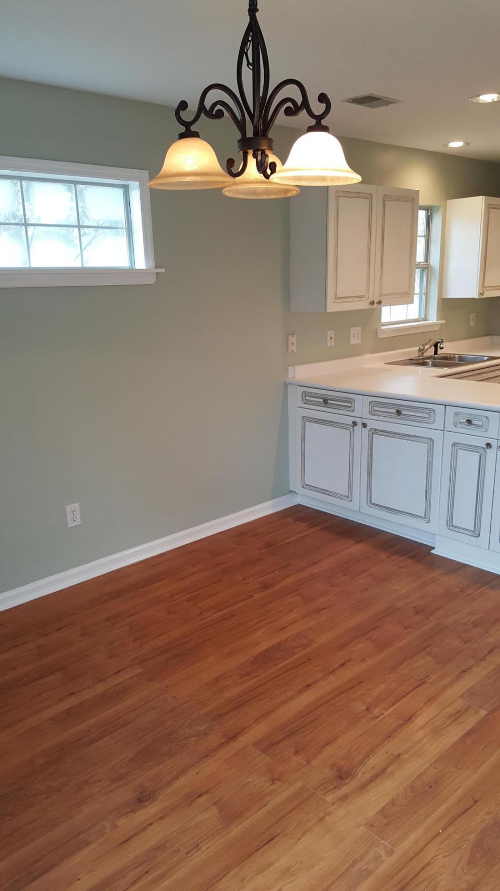 1628 Baltusrol Lane Photo 12