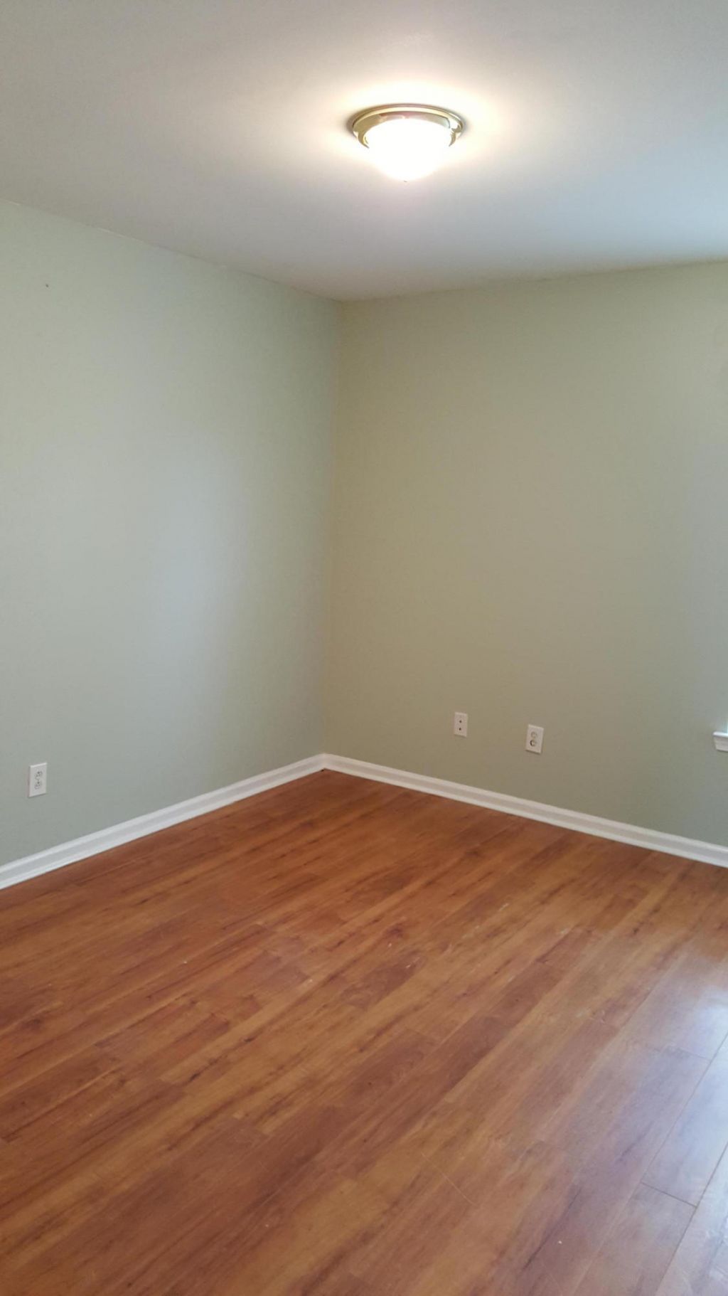 1628 Baltusrol Lane Photo 15