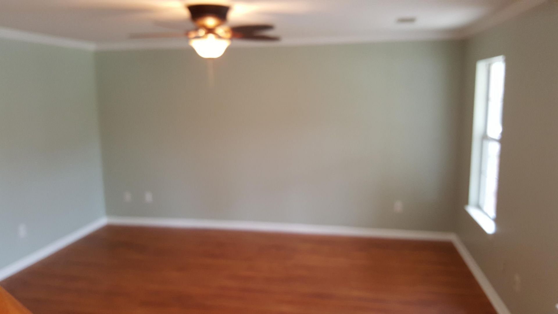 1628 Baltusrol Lane Photo 16