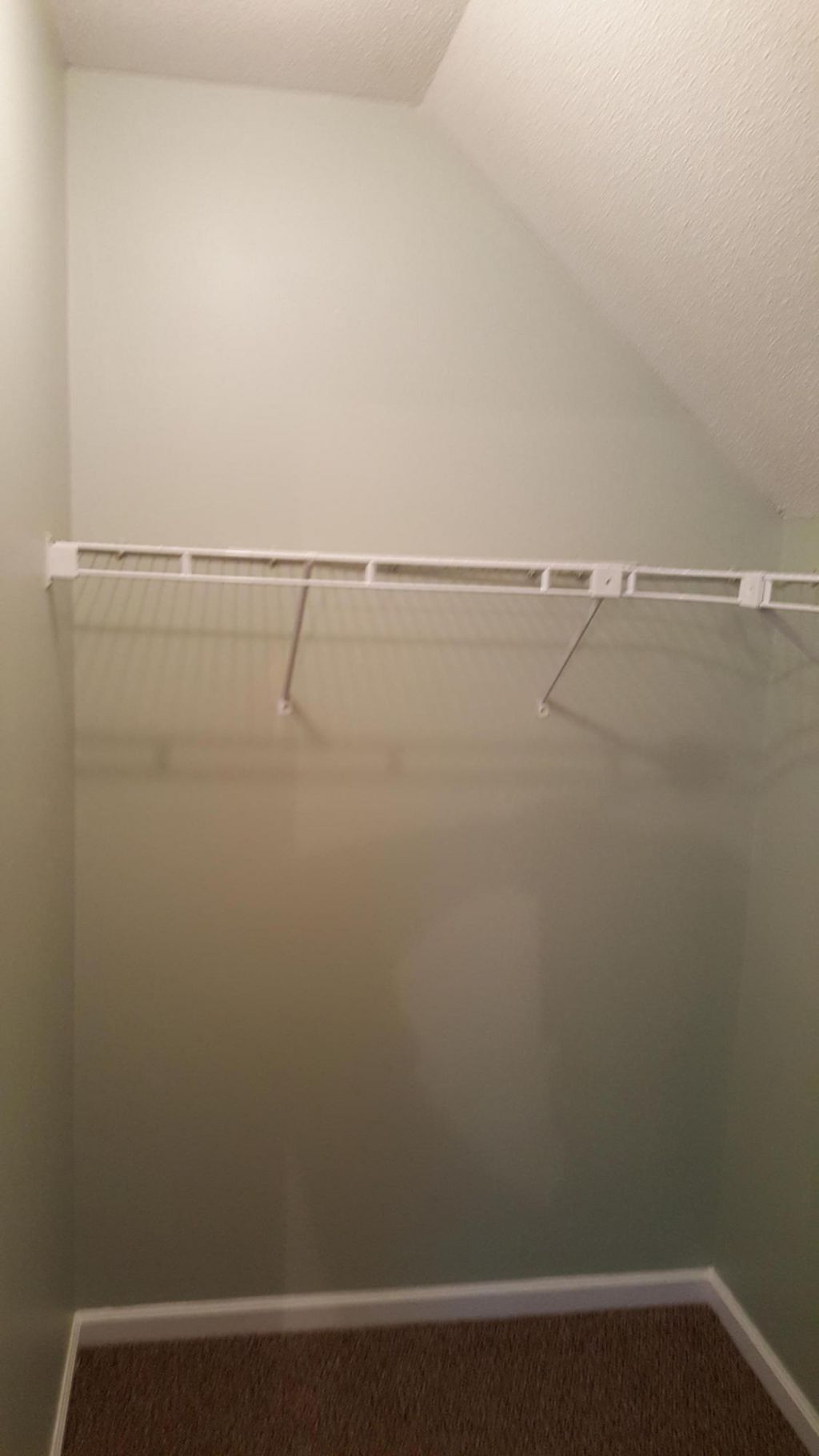 1628 Baltusrol Lane Photo 20