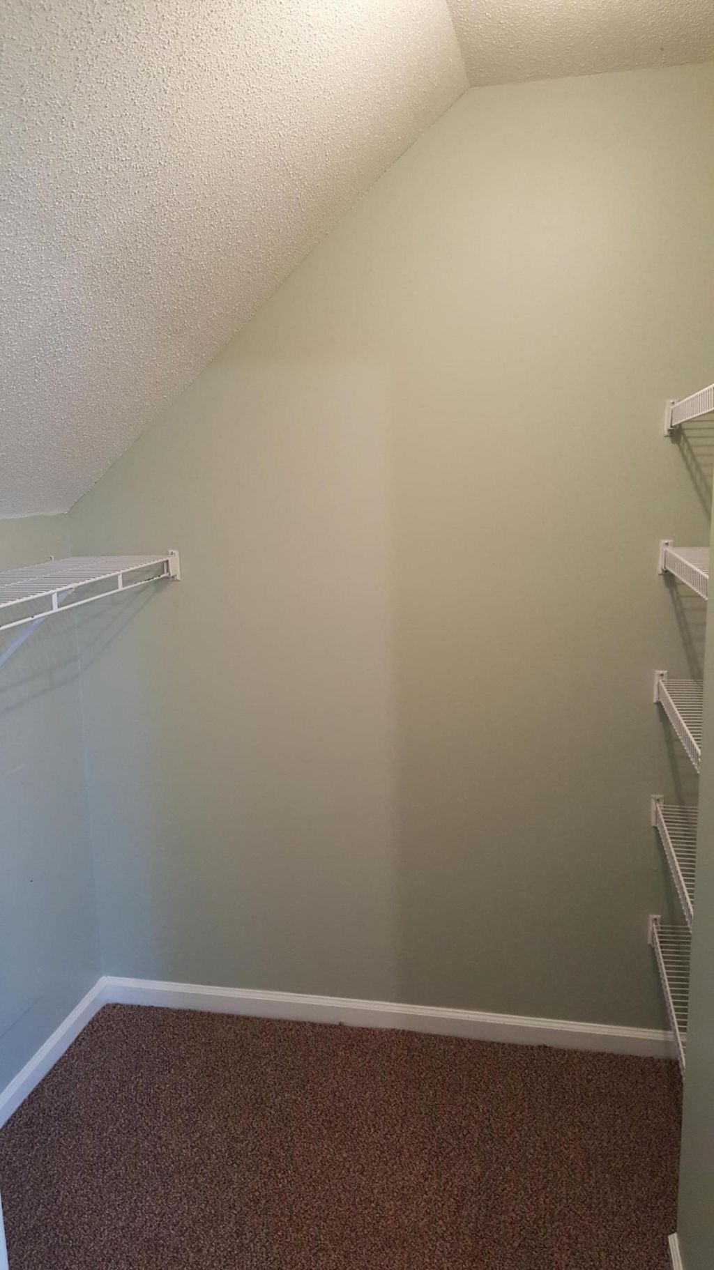 1628 Baltusrol Lane Photo 21