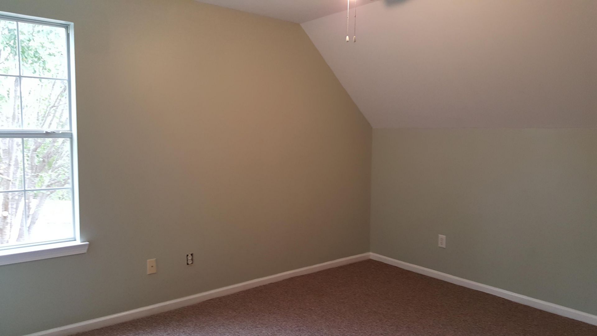 1628 Baltusrol Lane Photo 22