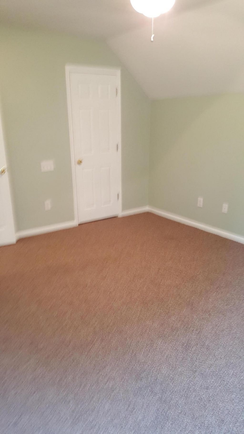 1628 Baltusrol Lane Photo 25