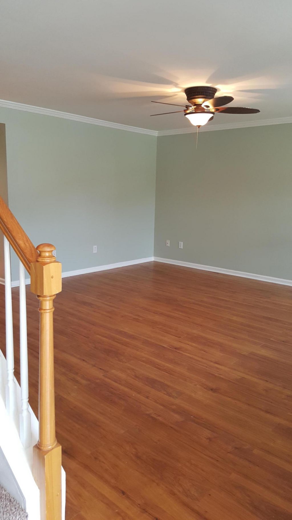 1628 Baltusrol Lane Photo 8