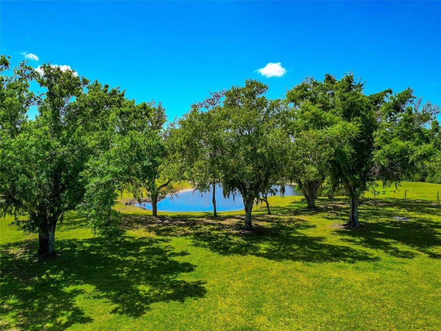 Property Image 82