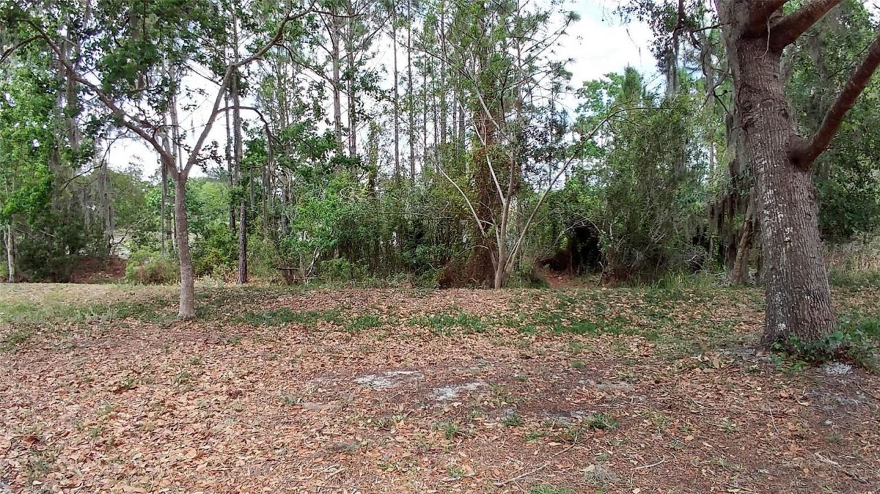 3842 Stonefield Drive , Orlando, FL 32826 Photo