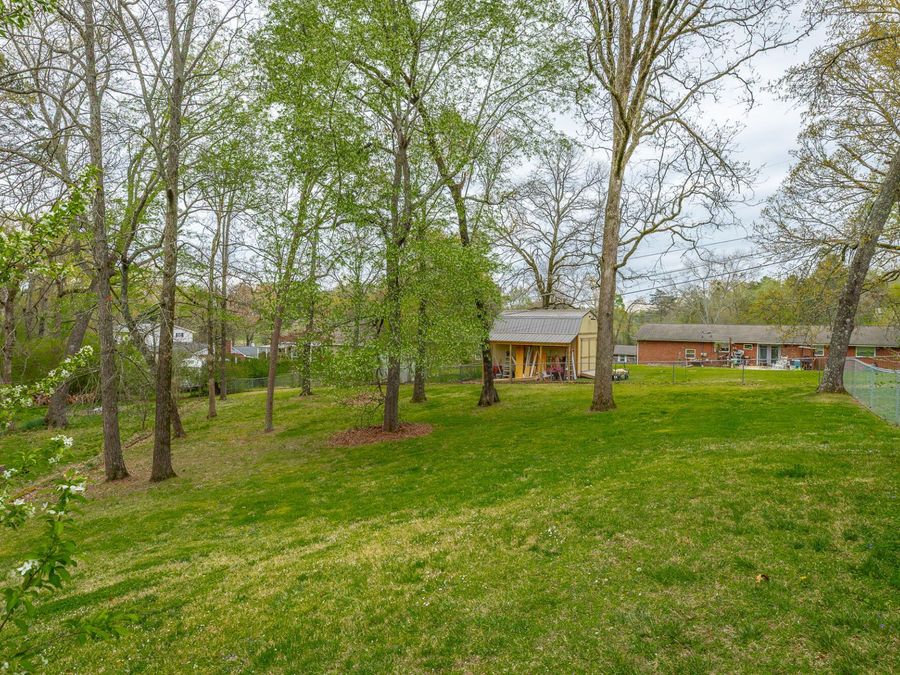 Property Image 81