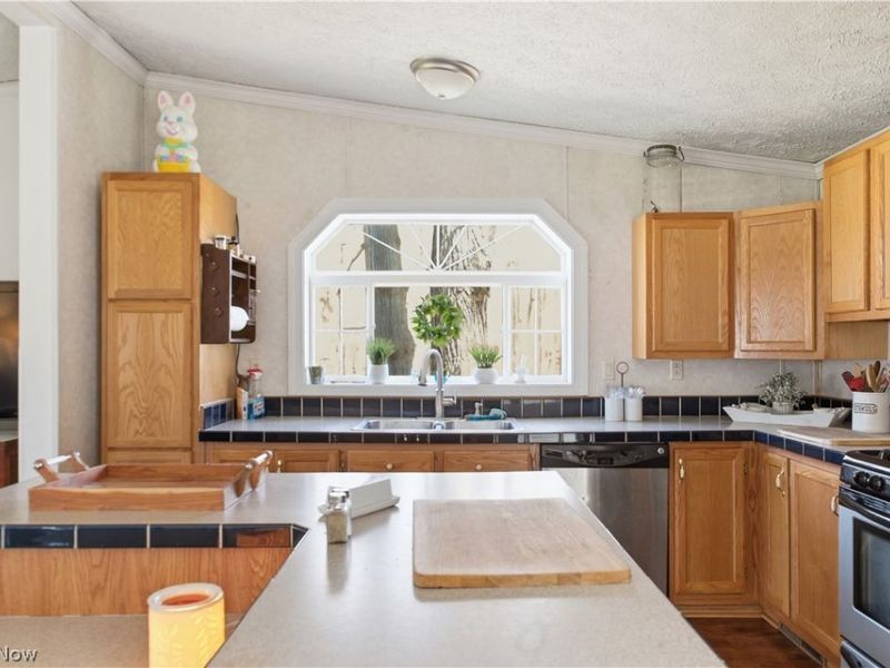 898 Longshadow Drive , Roaming Shores, OH 44084 Photo 11