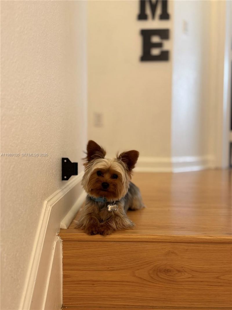 909 NE 42nd Ave, Homestead, FL 33033 Photo