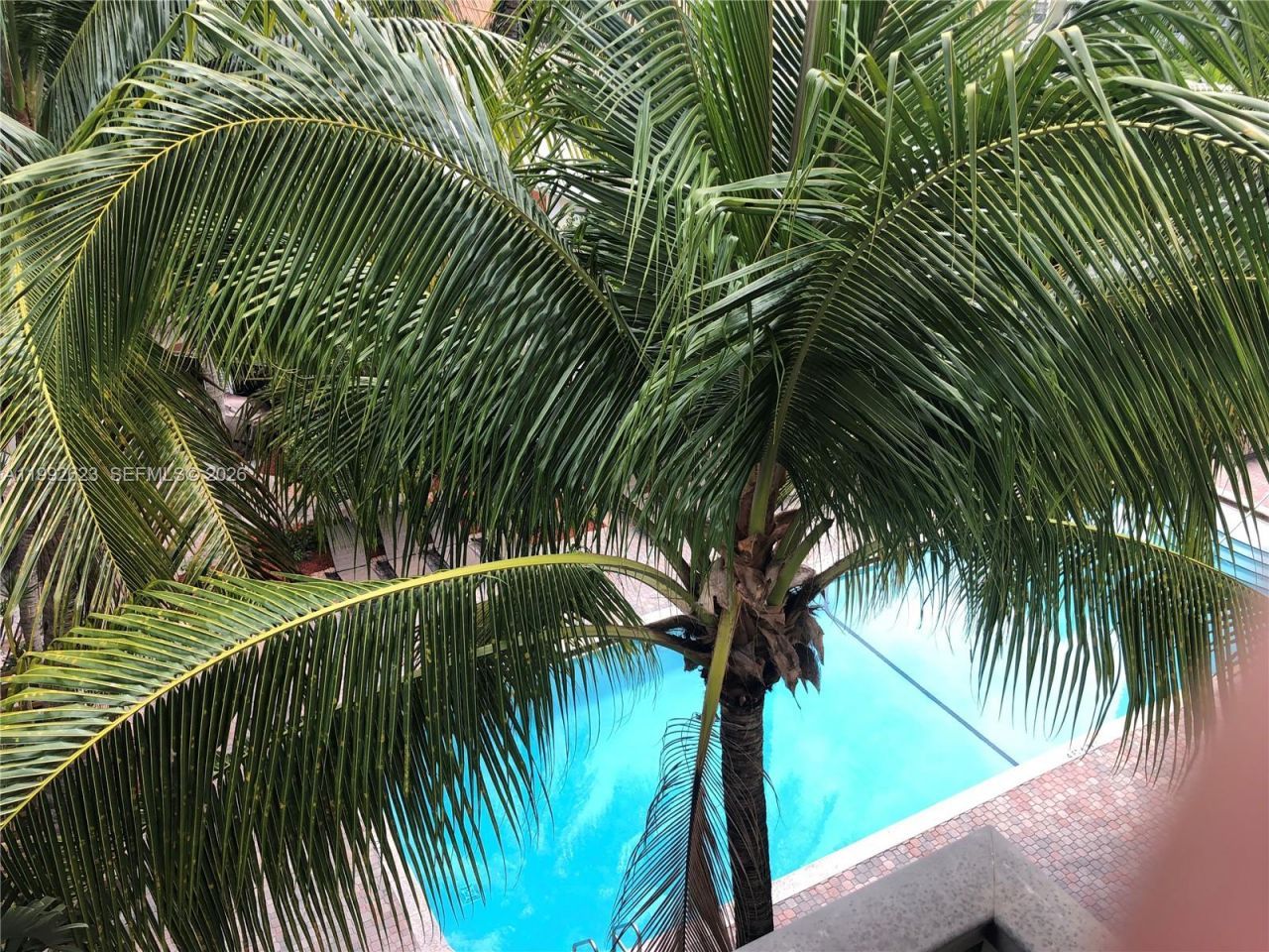 1900 Van Buren St , Unit 411B, Hollywood, FL 33020 Photo