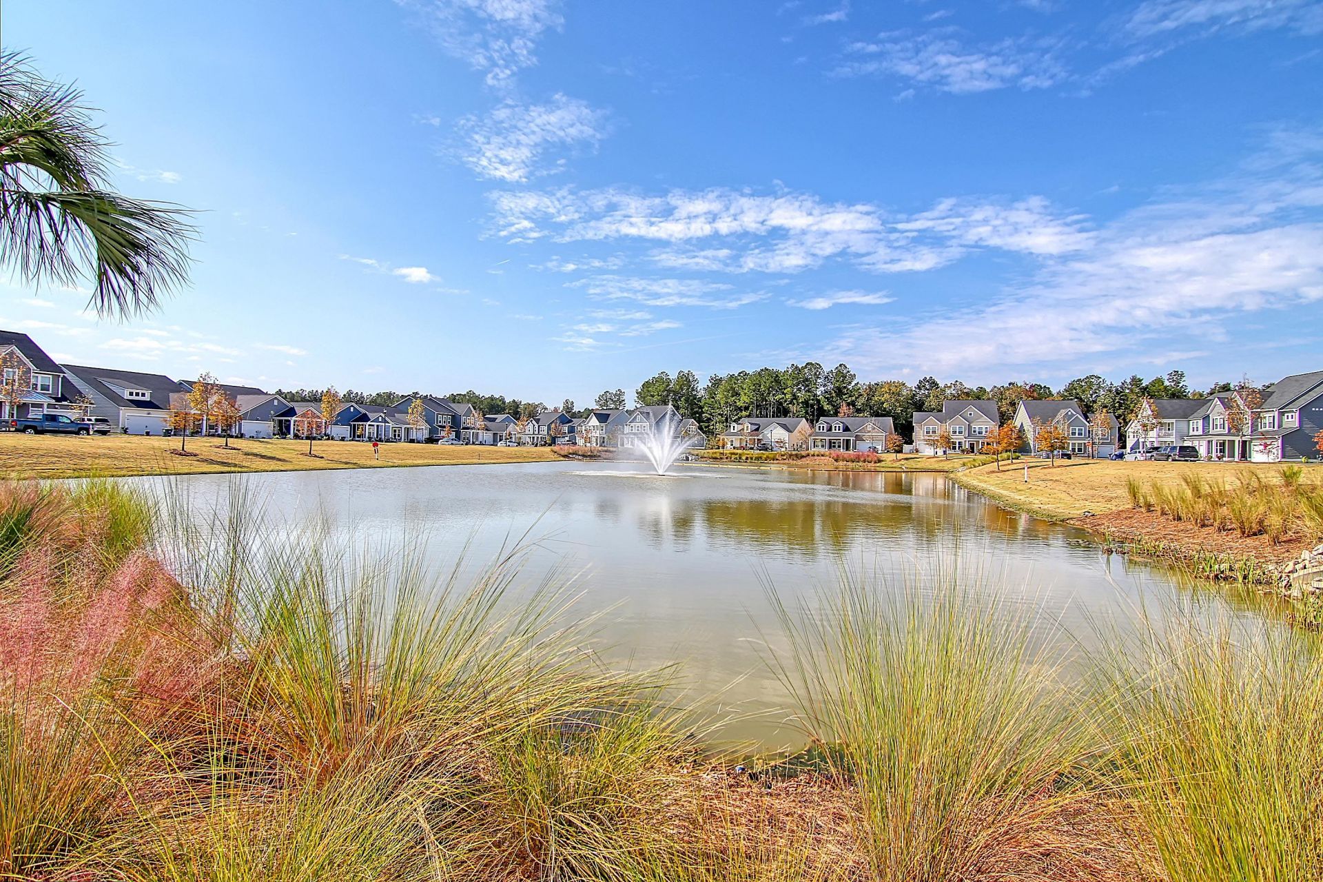 648 Water Lily Trail Photo 59