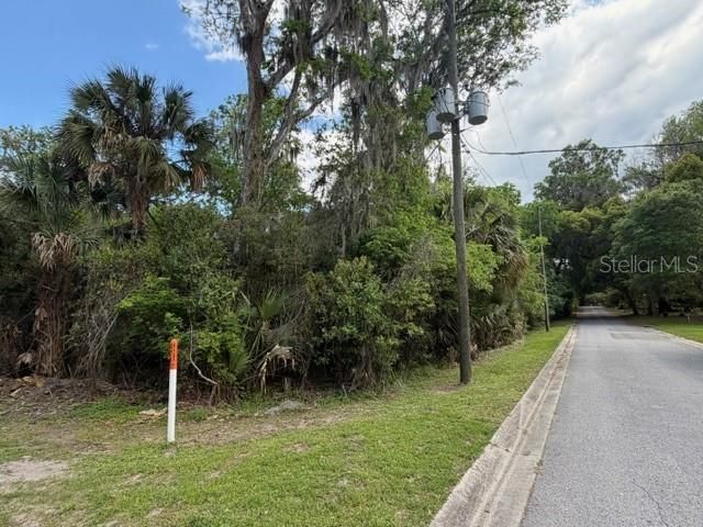Cr 234, Micanopy, FL 32667 Photo