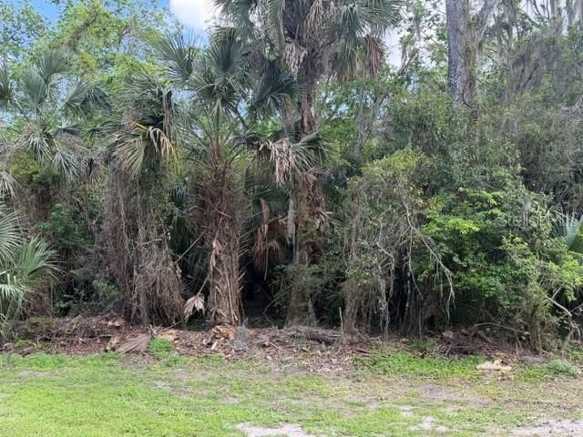 Cr 234, Micanopy, FL 32667 Photo