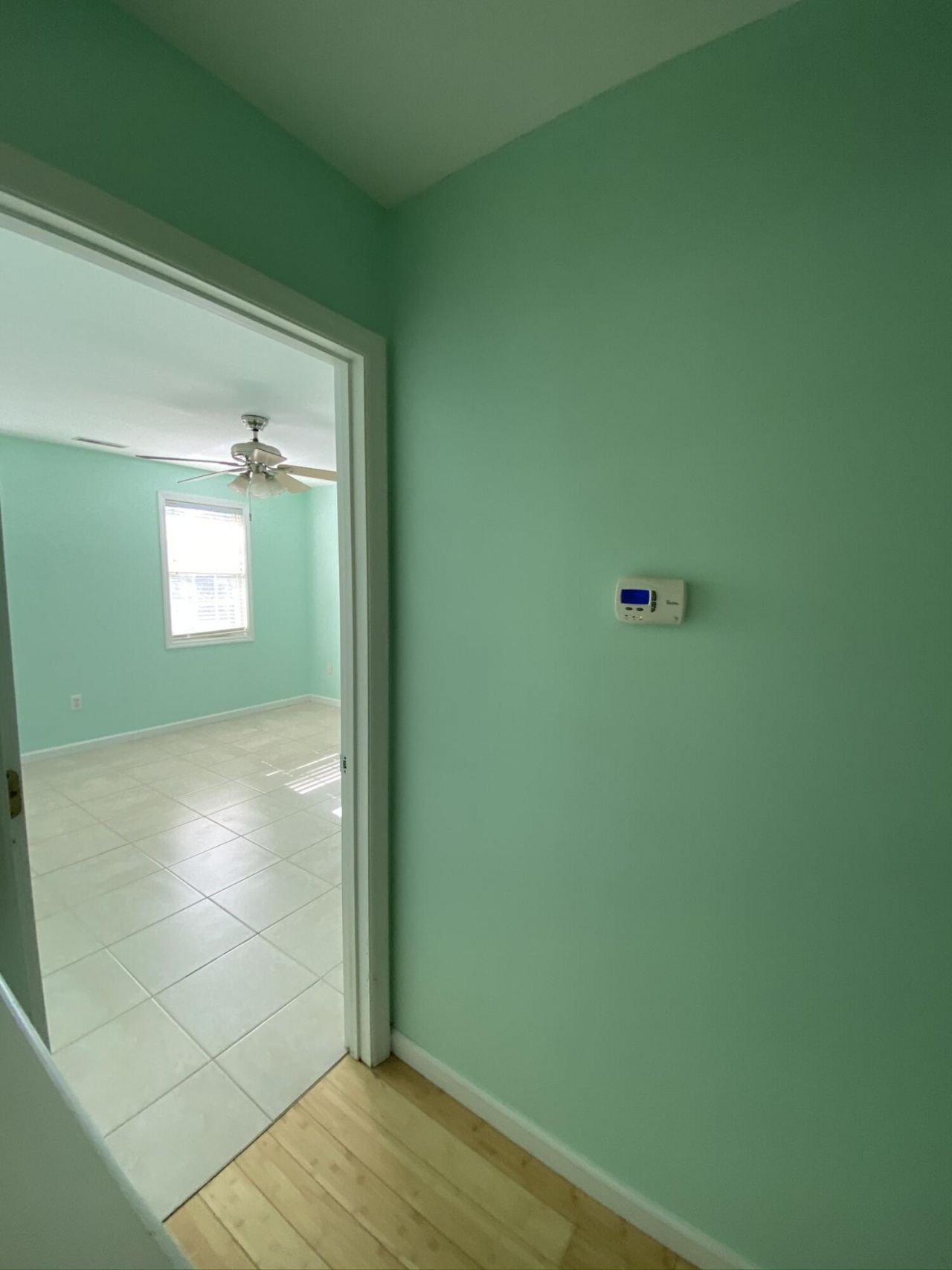 1525 Theresa Drive Photo 6