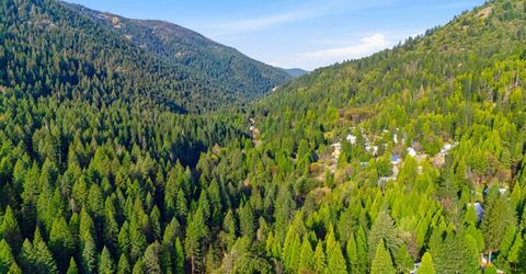 21 Spring St., Sierra City, CA 96125 Photo